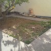 Césped para un patio