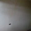 Pintar piso