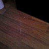 Reparar parquet