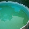 Limpiar mi piscina desmontable de algas