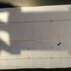 Presupuesto para montar un bar