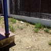 Hormigón impreso 75 m2 subiendo 20 cm