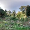 Limpiar parcela de 500m2
