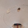 Localización fuga de agua en tienda