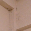 Aislamiento de pared en vivienda