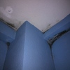 Pintar dos habitaciones