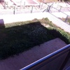 Construir piscina