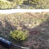 Rampa y parcela