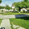 Desbrozar Jardín