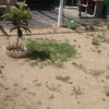 Instalacion de cesped artificial