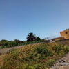 Limpieza de maleza
