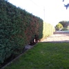 Instalar Rejas