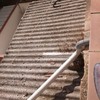 Retirar uralita de cobertizo en el tejado