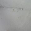 Presupuesto pintura