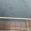 Posible proyecto: comprobar si humedad en el techo del baño es solo condensación o hay fuga de arriba