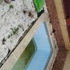 Echar hormigón impreso en un jardín