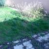 Desbrozar jardin vivienda unifamiliar 450 m2