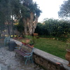 Pavimento terraza