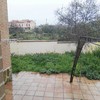 Plantar Cesped
