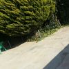 Hormigon impreso