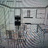 Reformar cocina