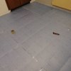 Poner suelo laminado