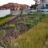 Mantenimiento jardin