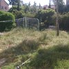 Sembrar césped parcela