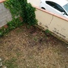 Solar jardín reparación muro