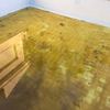 Limpieza interior piscina particular