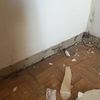 Reparar parquet habitacion y rodapie