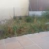 Desbrozar jardin