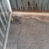 Solar patio 20 m2