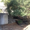 Re-ajardinamiento de dos zonas de jardín