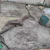 Microcemento para pequeño terreno