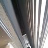 Limpieza a fondo nido palomas en una ventana
