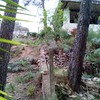 Construir Muro Piedra