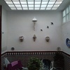 Pintura patio en sevilla