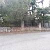 Reparacion valla y añadir brezo o similar para ocultacion