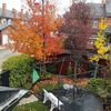 Habilitar un patio en el jardín para poder utilizarlo como comedor en verano e invierno-