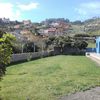 Hacer puesta a punto de jardín