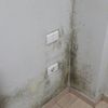 Aislamiento térmico habitacion