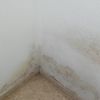 Reforma parcial baño y humedad dormitorio