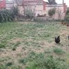 Proyecto para piscina