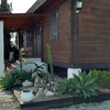 Desbrozar jardín/plantar cesped y especies tapizantes/mantenimiento