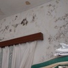 Pintar casa