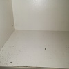 Fumigación o Desinsectación