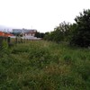 Desbroce de finca