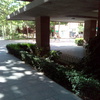 Reforma Comunidad