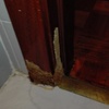 Reparar Carpintería Madera